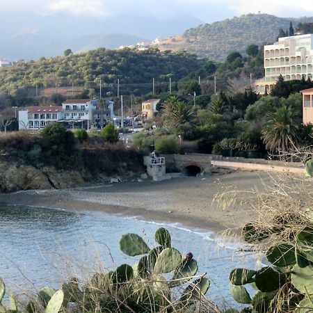 Les Pieds Dans L'Eau Appartement Banyuls-sur-Mer Buitenkant foto