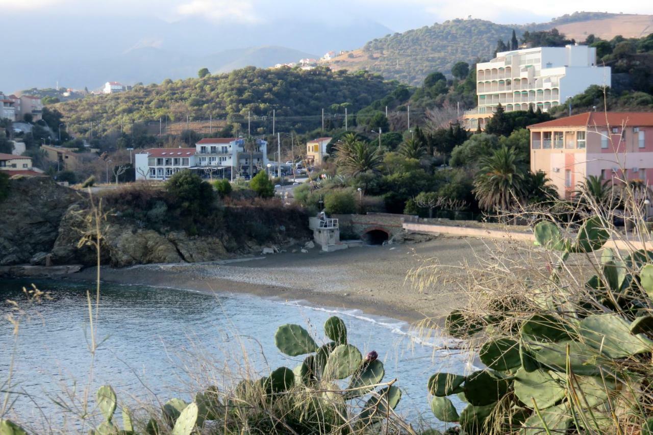 Les Pieds Dans L'Eau Appartement Banyuls-sur-Mer Buitenkant foto